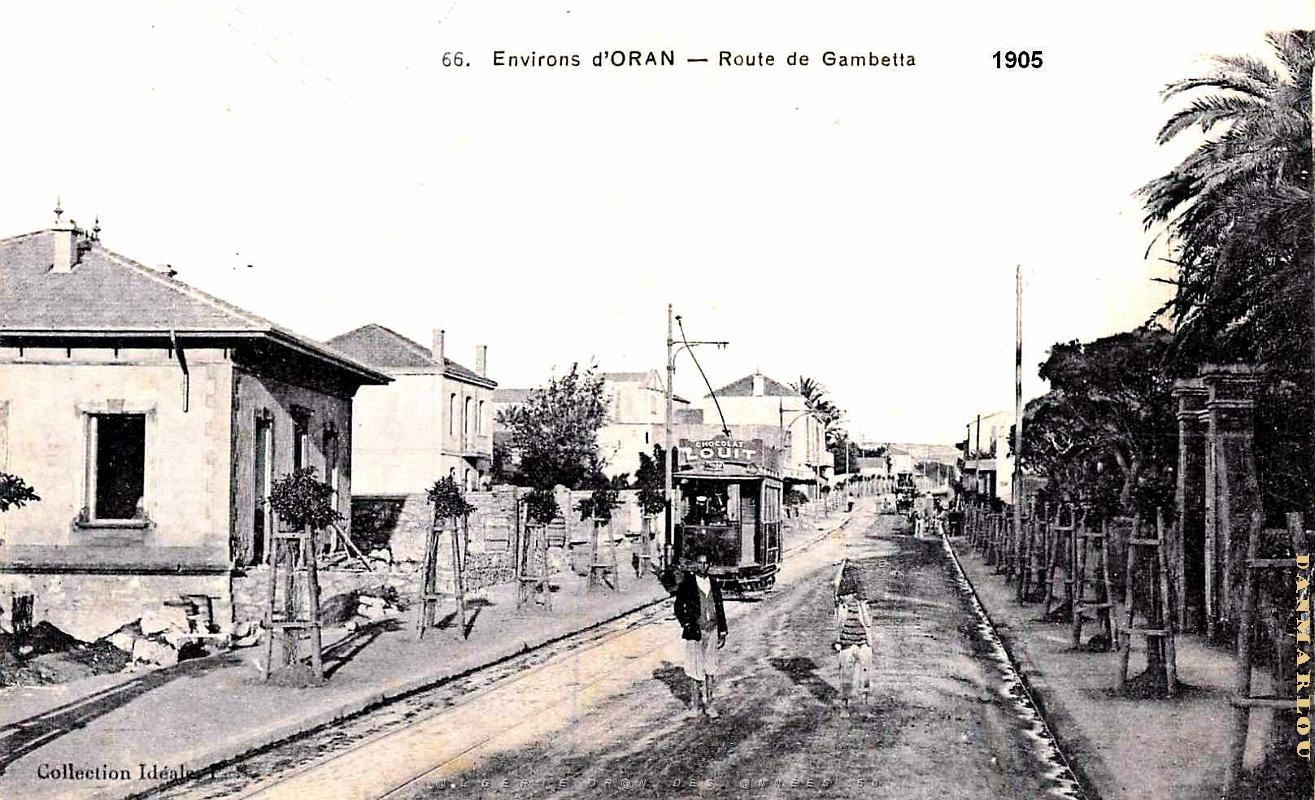 3084- Oran - Route de Gambetta - 1905.jpg